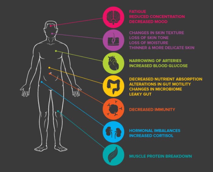 Stress in the Body